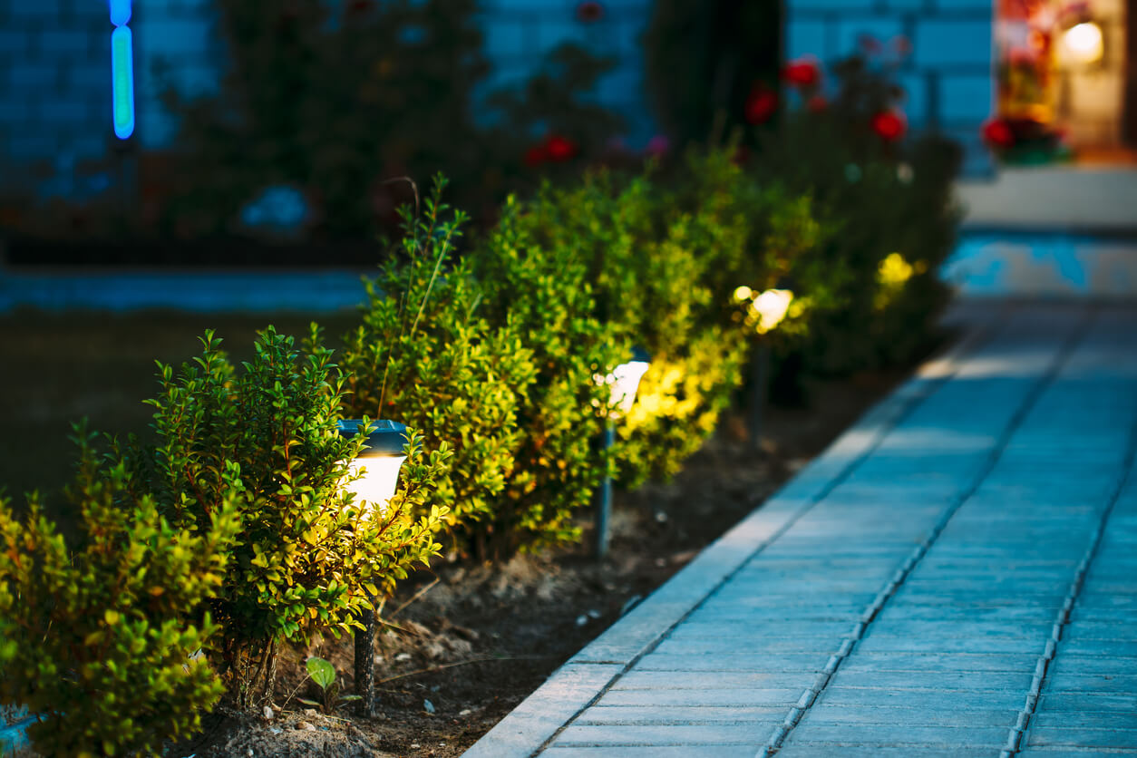a stone path with mini lamps lighting the path