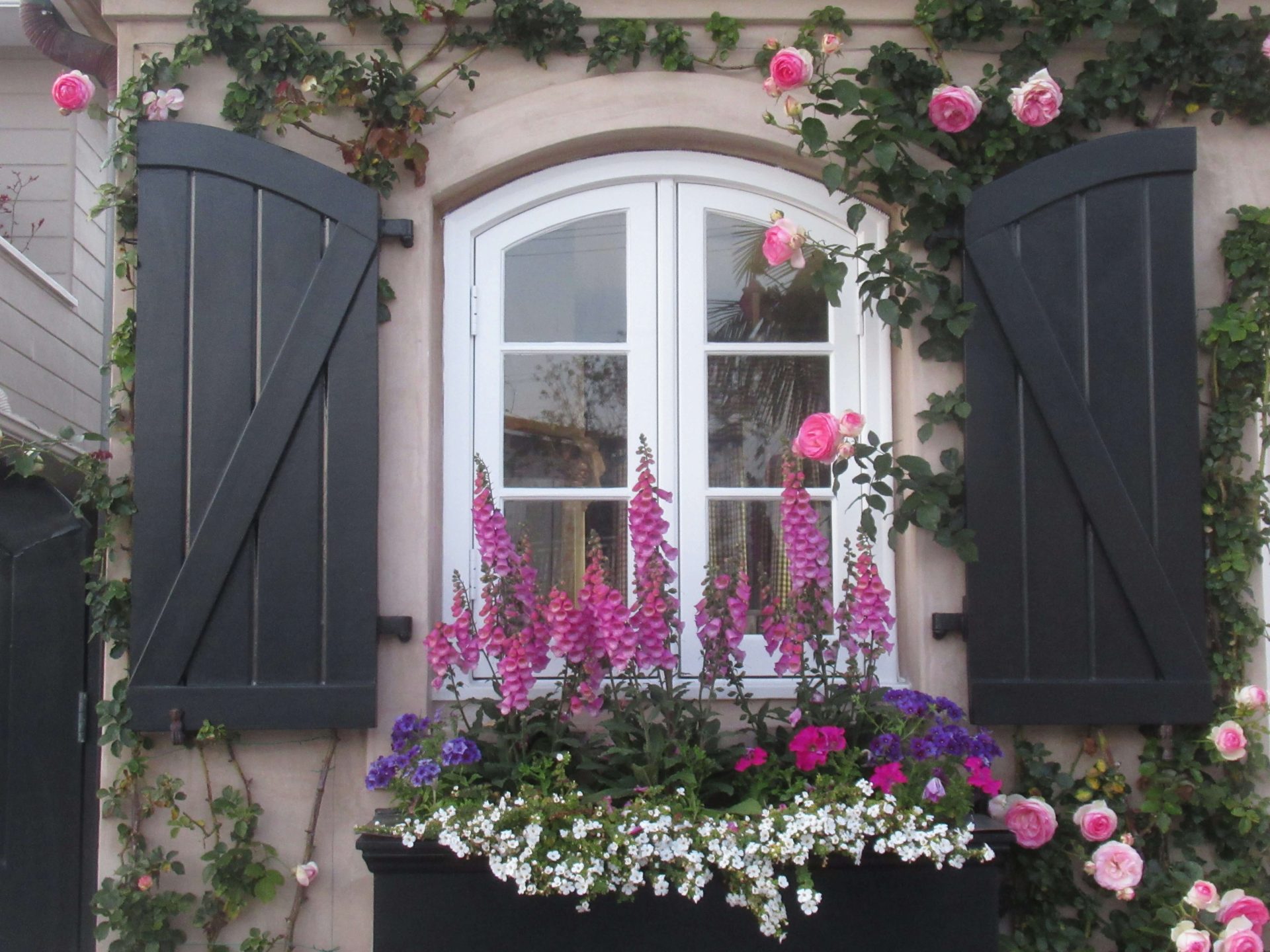 a window box with purple and white flowers