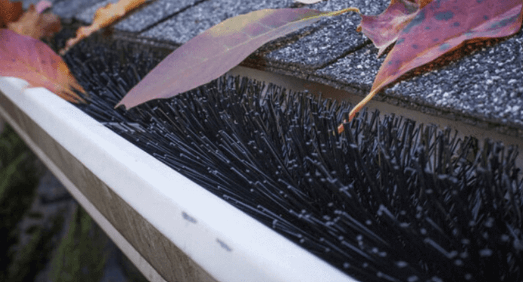 Bristle gutter guards up close