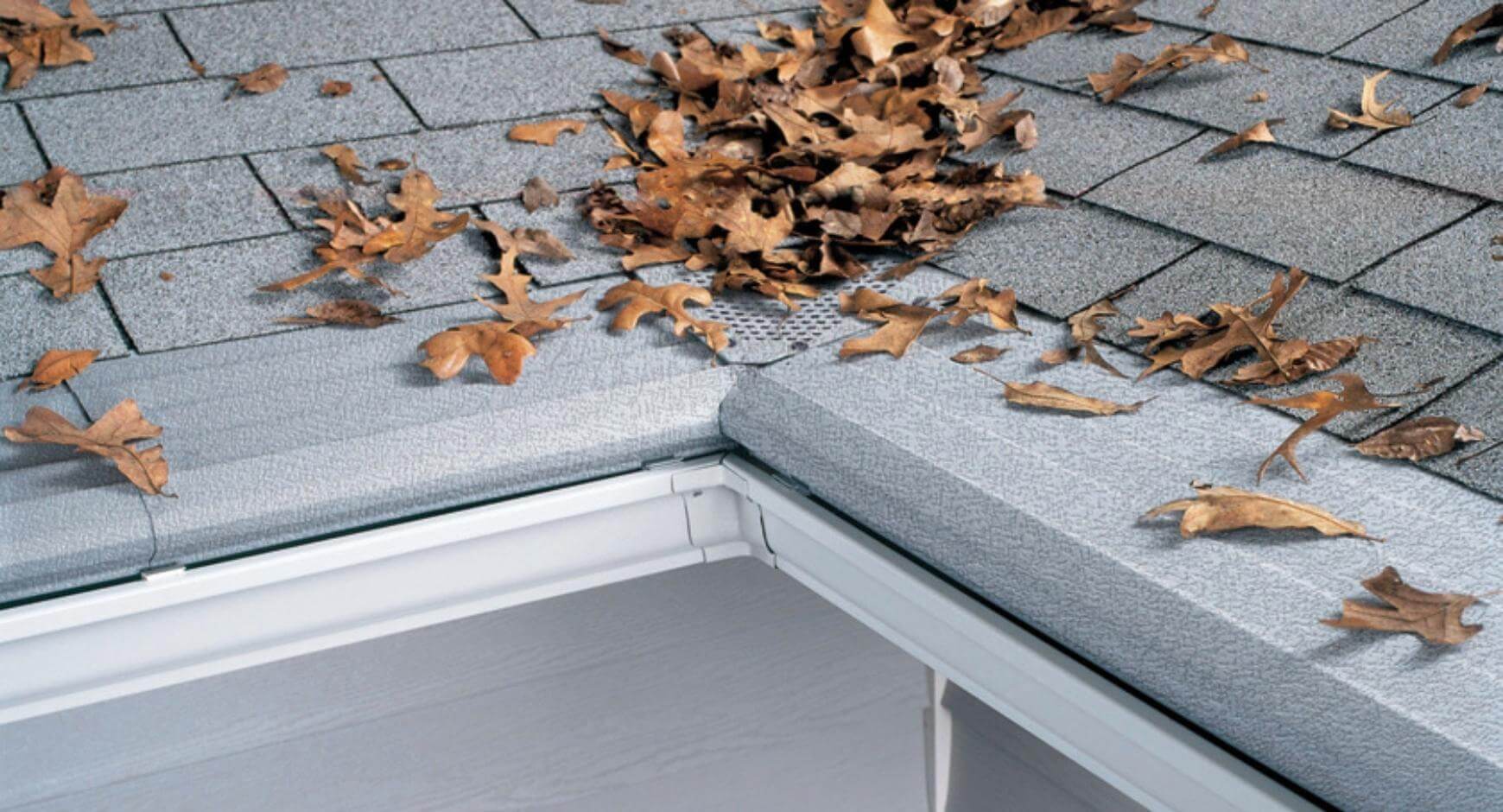 Gutter solution: gutter guard