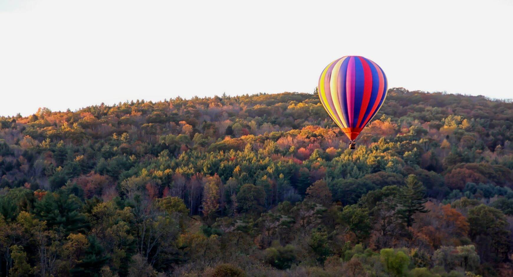 hot air balloon over fall trees