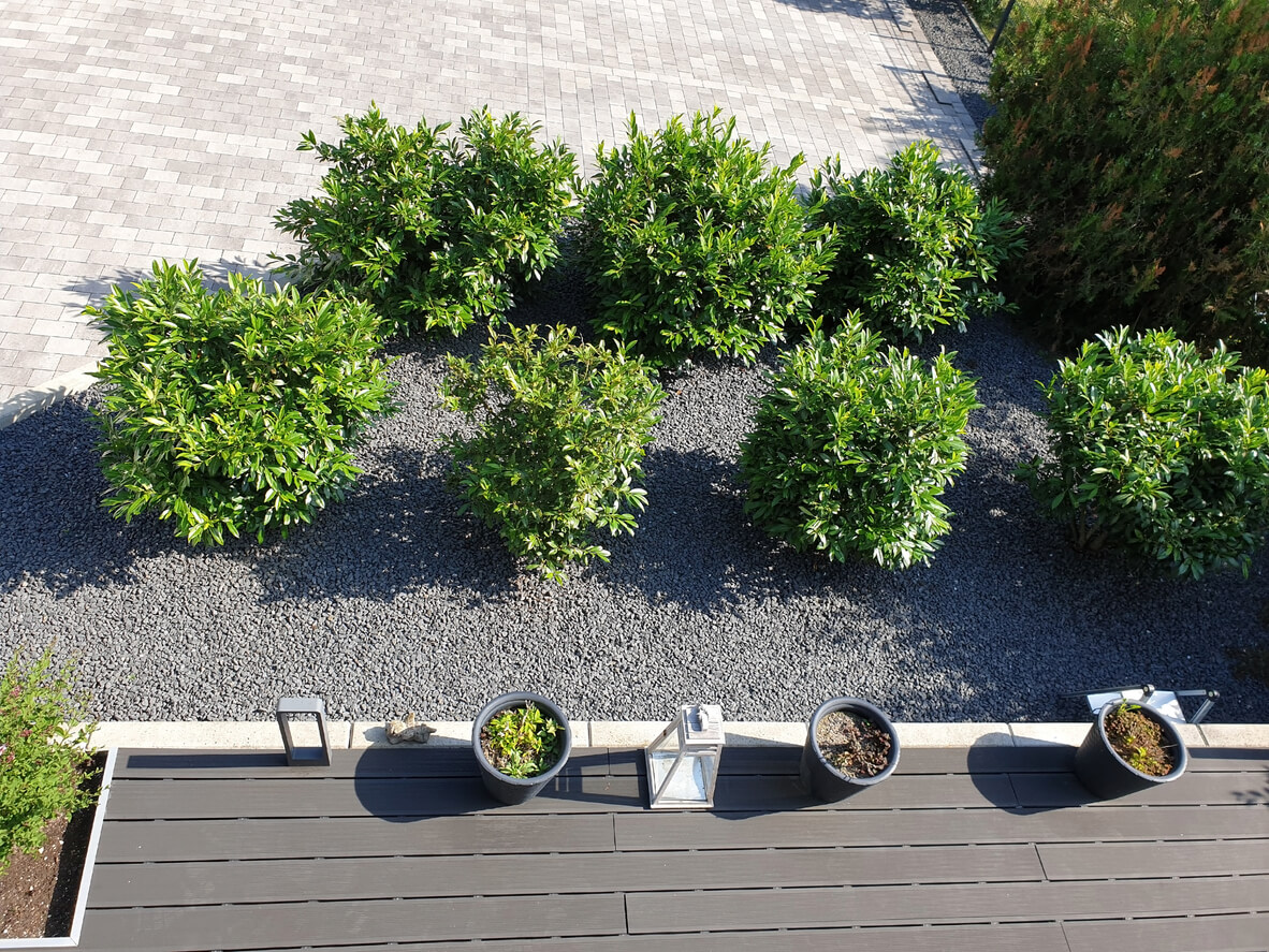 shrubs surrounding a deck