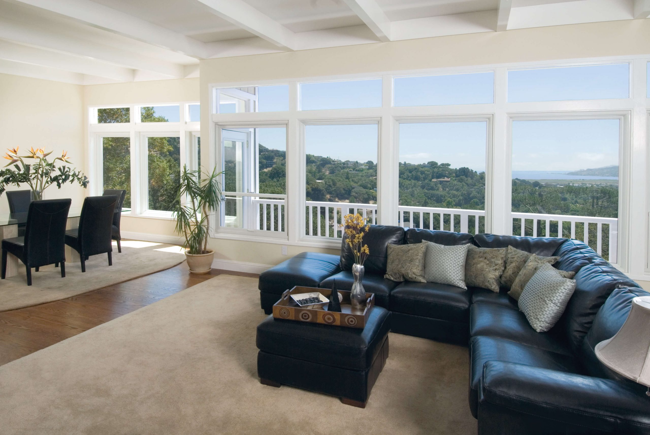 Living Room With Natural Light