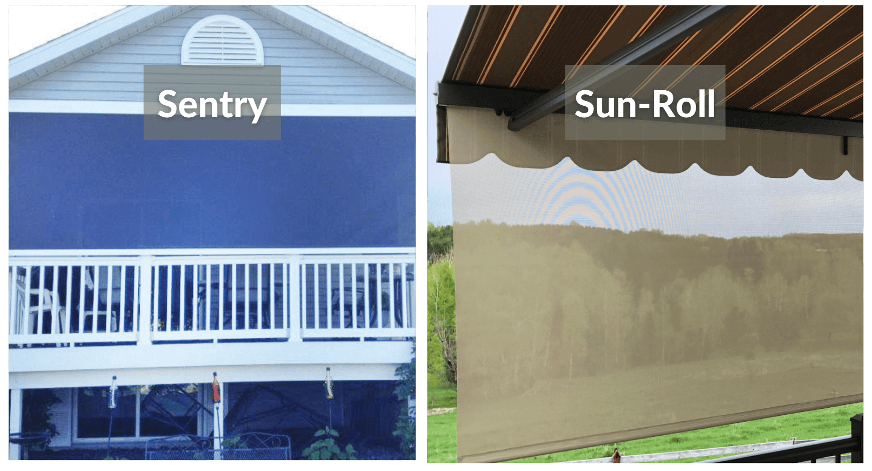 Sun roll and sentry comparison