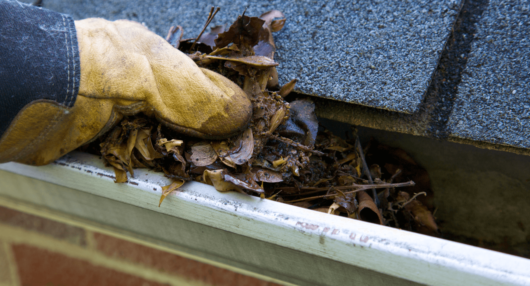 Image of the solution to clogged gutters