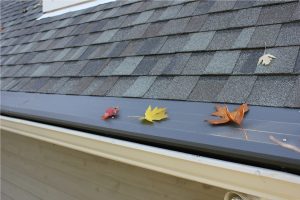 leaves on Asher's gutter helmet in the fall