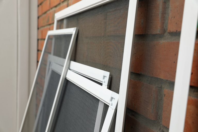 How To Clean Window Screens In 6 Easy Steps